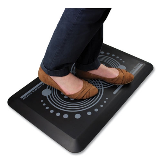 Picture of Afs-Tex 2000 Anti-Fatigue Mat, Rectangle, 16 X 24, Midnight Black