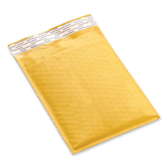 Picture of PEEL SEAL STRIP CUSHIONED MAILER, #3, EXTENSION FLAP, SELF-ADHESIVE CLOSURE, 8.5 X 14.5, 25/CARTON