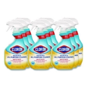 Picture of DISINFECTANT,APC,9-32OZ