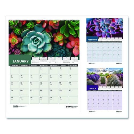 Picture of CALENDAR,SUCCULENT WALL
